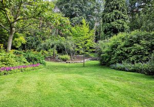 Optimiser l'expérience du jardin à Billere
